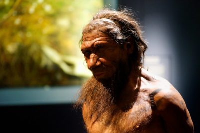 Co nowego u neandertalczyków?